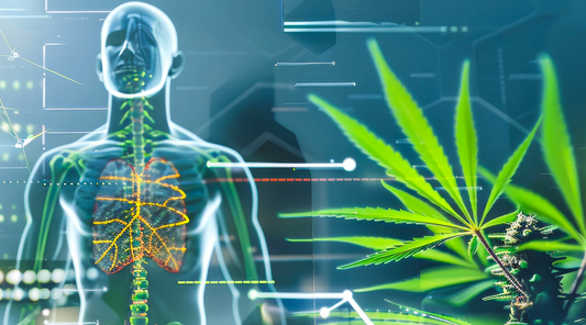 Understanding the Endocannabinoid System — The Body’s Master Switch